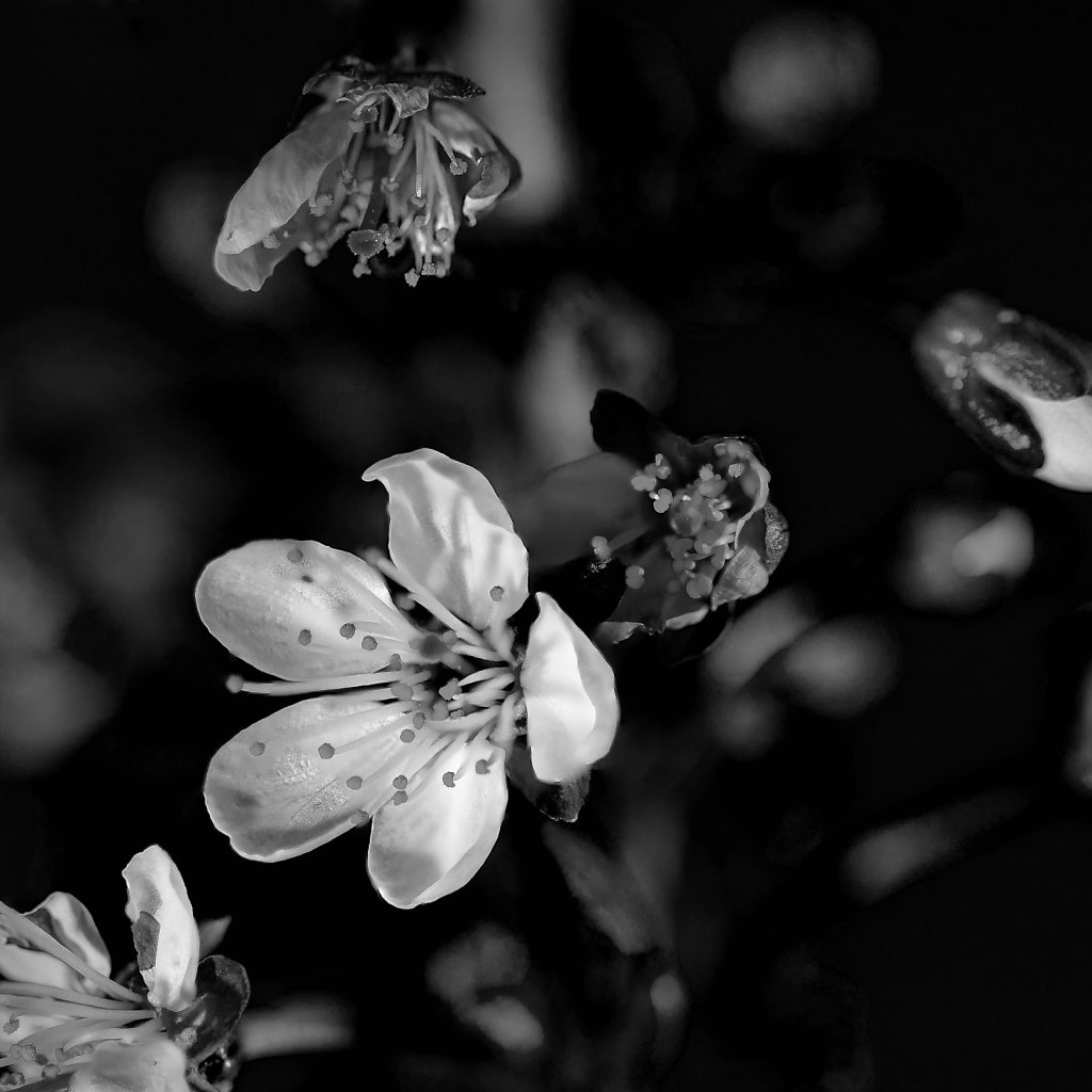 monochromer frühling